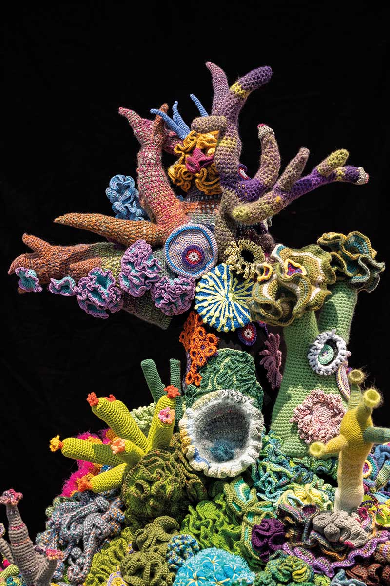 Crochet Coral Reef Projekt